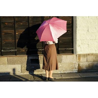 ふるさと納税 古河市 雪華模様の折り畳み傘(サイズ55cm)カラー:ピンク | 傘 かさ 折りたたみ傘 _BL04 |  | 01
