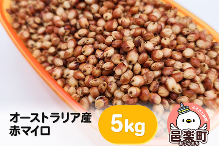 赤マイロ オーストラリア産 5kg×1袋 サイトウ・コーポレーション 飼料