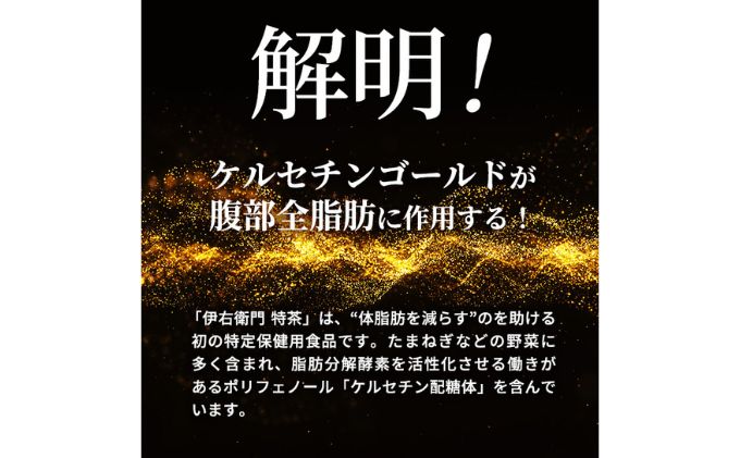 お茶 定期便 2ヶ月 伊右衛門 特茶 500ml × 24本 サントリー 緑