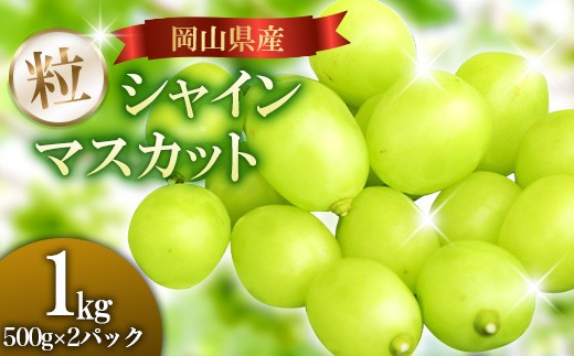 
                  【ご家庭用】岡山県産シャインマスカット バラ粒 1kg（500g×2パック）
                