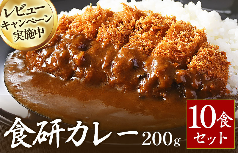 
            食研カレー２００ｇ×１０袋 今治 いまばり 愛媛 えひめ ご当地 10袋 レトルト セット レトルトカレー 常温 家庭用 加工品 国産 日本食研 非常食【VB02360SET10】
          