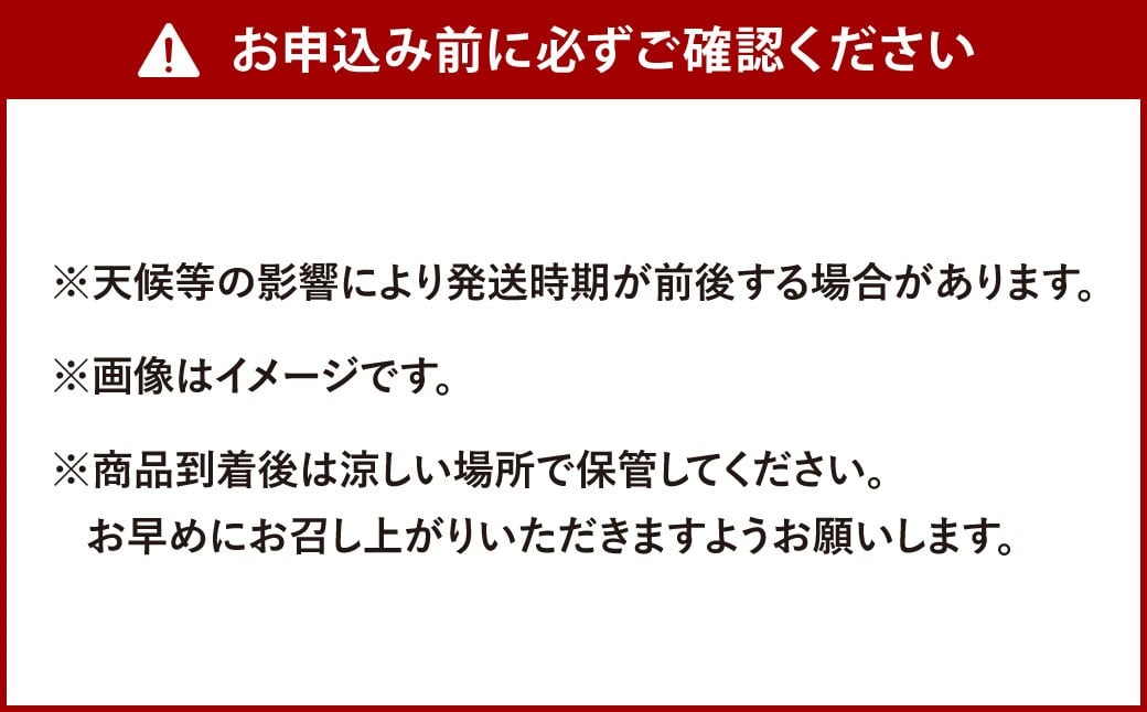 福岡県産 早味かん 約4kg以上 （40玉～50玉入り）  M・Sサイズ
