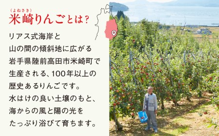 【2024年 先行予約】米崎りんご３㎏【品種おまかせ１種】
