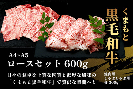 A4・A5 くまもと黒毛和牛 ロース セット 計600g ( すき焼き 300g / 焼肉 300g ) 本場 熊本県 ブランド 牛 黒毛 和牛 厳選 A4以上 肉 上質 熊本県 113-0506