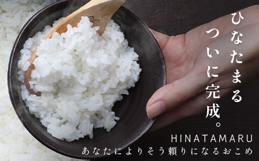 ひなたまる10kg(5kg×2)白米｜特別栽培米【ひなたまる 令和7年誕生 新ブランド米】【生産者直送】幸せと笑顔を届ける元氣のお米｜佐賀県特別栽培農産物｜化学農薬・化学肥料不使用｜新米 精米 有機肥