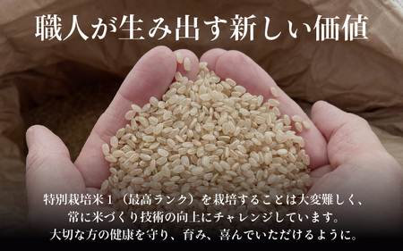 【先行予約】【令和7年産】《定期便3回》コシヒカリ 玄米 5kg （計15kg）特別栽培米 農薬不使用 化学肥料不使用 ／ 残留農薬ゼロ 高品質 鮮度抜群 福井県産 ブランド米 ※2025年10月上旬