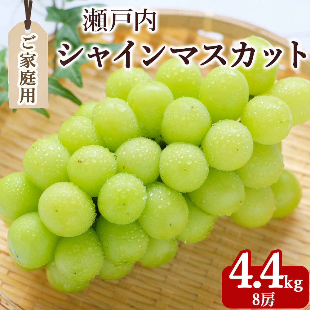 【ふるさと納税】期間限定 シャインマスカット 1房(約600g)～最大9房(約4.4kg以上) [ フルーツ 果物 ぶどう マスカット 美味しい 旬 糖度 皮ごと 種なし 送料無料 食品 大粒 訳あり 贈答用 ギフト 三豊市 五色青果 返礼品]【配送不可地域：北海道・沖縄県・離島】