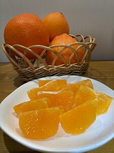 【2026年先行予約】 愛果28号 5kg ご家庭用 紅まどんなと同一品種 農園直送 【12月中旬から順次発送予定】 愛媛 数量限定 愛媛県産 人気 柑橘 伊予市 | B256