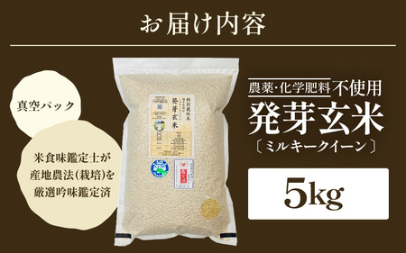 【先行予約】【令和7年産】発芽玄米 ミルキークイーン 5kg 甘みがありモチモチやわらか 農薬・化学肥料不使用 特別栽培米【2025年9月下旬以降順次発送予定】【無洗米 米 玄米 ギャバ GABA 特