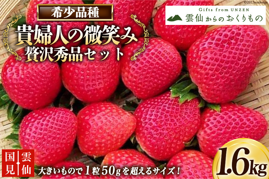 
【期間限定発送】いちご 雲仙くにみ苺 貴婦人の微笑み 贅沢秀品セット200g×8p 計1.6kg [国見園芸出荷組合 長崎県 雲仙市 item1717] イチゴ 苺 果物 フルーツ 完熟 ストロベリー 長崎県産 季節限定
