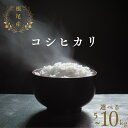 【ふるさと納税】【 令和7年産 】先行予約 根尾産 コシヒカリ 5kg 10kg 選べる 米 有機肥料 米 こめ ごはん 白米 こしひかり 岐阜県産 本巣市 お米 精米 おにぎり 弁当 寿司 高級 おいしい 数量限定 アグリフレンド [mt1683]