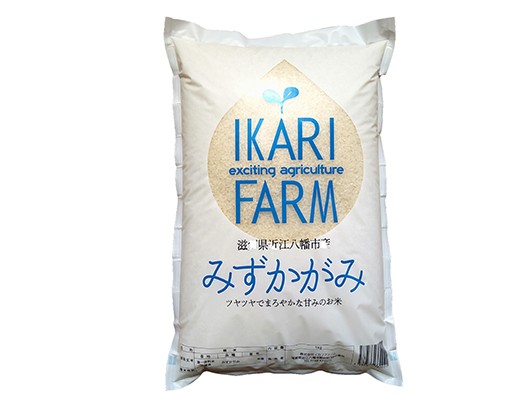 
            新米 令和7年産 みずかがみ 白米 5kg 冷めても美味しいあっさりとした味わい 【C014W】 近江米 5kg 1袋 滋賀県産 
          