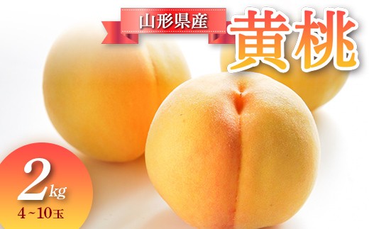 【先行予約 令和8年度発送】山形県産 黄桃 2kg  もも モモ 桃 デザート フルーツ 果物 くだもの 果実 食品 山形県 FSY-0685