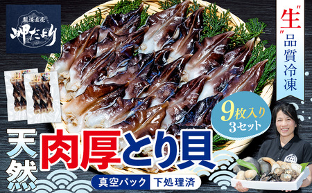 天然 とり貝 お刺身 大9枚×3セット 岬だより トリ貝 刺し身