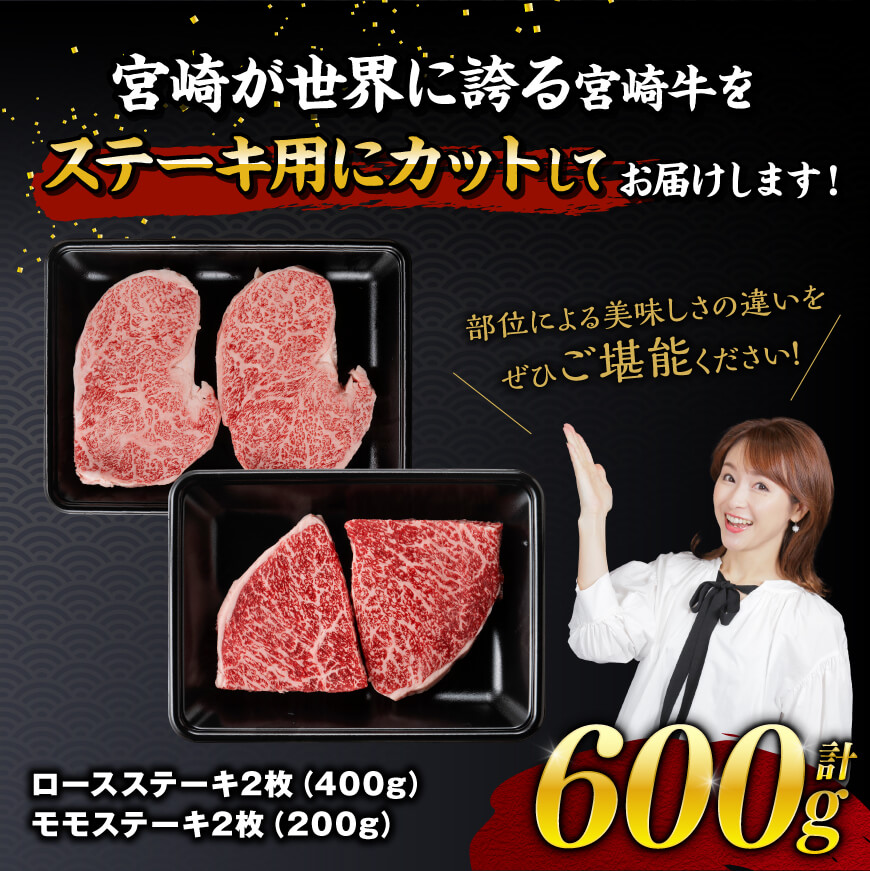 宮崎牛ステーキ 2種 600g　牛肉[E11118]