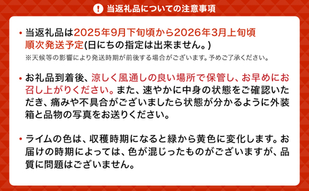 【先行予約】 国産 ライム 約1.5kg 10～20玉【吉田レモニー】【2025年9月下旬～2026年3月中旬発送】柑橘 小玉 らいむ 国産ライム 宇城市産ライム 熊本県産ライム 小玉ライム