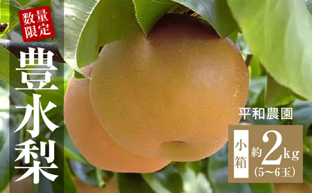 梨 数量限定！平和農園 豊水梨 小箱（5～6玉）＜約２kg＞フルーツ ふるーつ 果物 くだもの 三豊市_M32-0001 なし ナシ