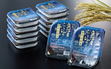 魚沼産コシヒカリ 雪中貯蔵米 パックご飯48個 /たかの/パックご飯 パックご飯 パックご飯 パックご飯 パックご飯 