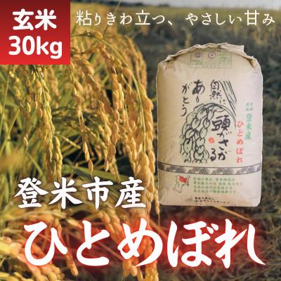 ふるさと納税 登米市 令和7年産　宮城県登米市産ひとめぼれ(玄米)30kg