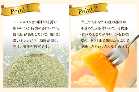 【数量限定・期間限定】 おみたまレノンメロン 赤肉 約5kg 4玉～6玉 メロン 秀品 めろん 果物 フルーツ 茨城県産 52-B 【4月20日まで受付・4月～5月上旬順次発送予定】