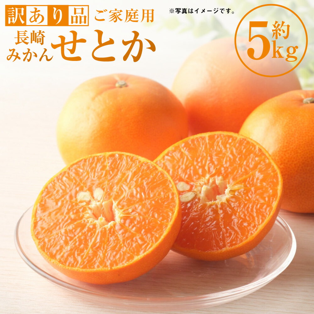 【ふるさと納税】【訳あり品】長崎みかん せとか 約5kg | わけあり 訳アリ 理由あり みかん ミカン 蜜柑 柑橘類 かんきつ フルーツ くだもの 果物 果実 デザート 家庭用 長崎県産 国産 九州 長崎県 長崎市 送料無料 【2026年2月上旬～4月下旬発送予定】