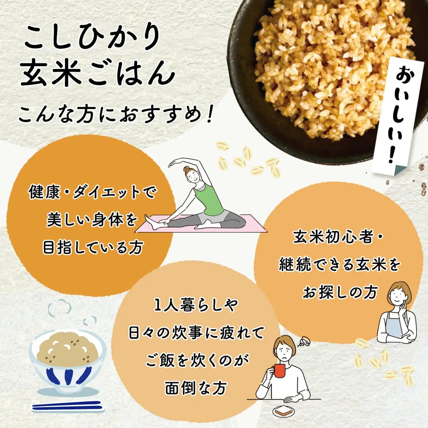 【玄米ごはん】 プレミアムこしひかり 160g 12個 玄米ごはん