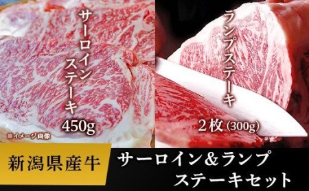76-57B新潟県産牛（長岡産）サーロインステーキ450g＆ランプステーキ2枚（計300g）