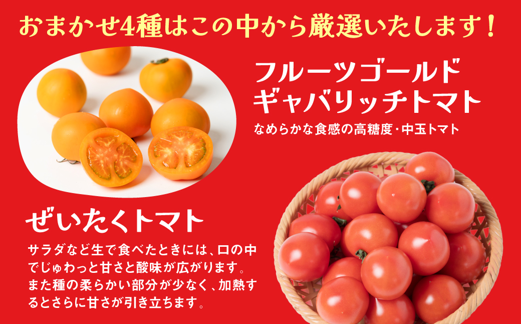 【先行予約】 【定期便3回】おまかせトマト4種 3kg×3回 計9kg 八代市産 宮島農園 ミニトマト トマト とまと 農産物 野菜 セット 詰め合わせ 定期便 熊本県 八代市 【2025年12月上旬