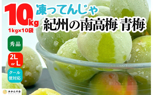 
                  【2026年7月上旬～出荷予定】梅 冷凍 青梅 南高梅 10kg ( 1kg × 10袋) 秀品 2L or Lサイズ 和歌山県産 紀州有田 【みかんの会】
                