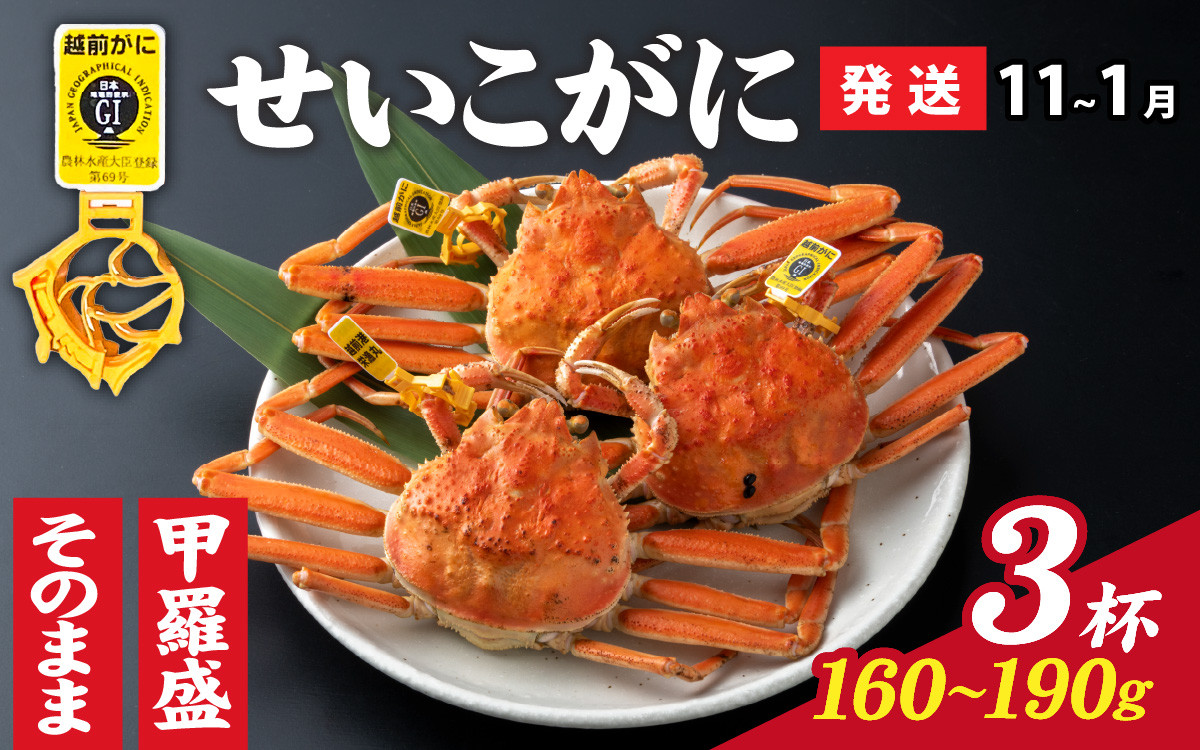
                  【先行予約】選べる！美味しさ直送【成前特選】 せいこがに（160g～190g）×3杯【11月～1月発送】 [C-028040] / ズワイガニ 甲羅盛り 越前がに かに 蟹 楚蟹 セイコ蟹 越前かに 香箱がに こうばこがに 親ガニ こっぺがに せこがに 甲羅蟹 甲羅がに 香箱蟹 メス ずわいがに カニ セイコガニ 姿
                