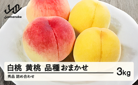 【先行予約】もも 白桃 有袋黄桃 秀品 詰め合わせ 品種おまかせ 3kg フルーツ 化粧箱入 果物 アソート 詰合せ 2026年産 令和8年産 山形県産 桃 黄桃 モモ 送料無料 ※沖縄・離島への配送