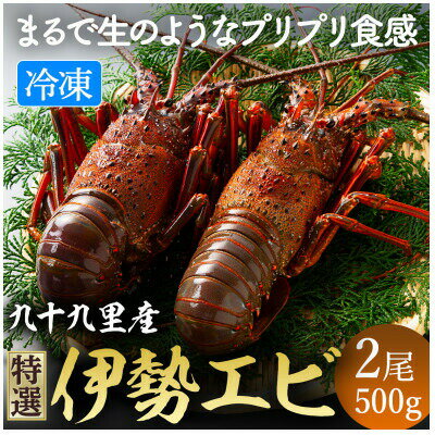 【ふるさと納税】 あまい! 美味い! リキッド 凍結伊勢海老 刺身用 2尾(計500g) イセエビ エビ プリプリ 急速冷凍 瞬間冷凍 冷凍 真空個装 真空パック 刺身 生食用 魚介 魚貝 鮮魚 新鮮 高級 人気 不動丸 千葉県 旭市