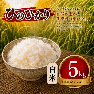 ふるさと納税 玉名市 【毎月定期便】熊本県産 ひのひかり 白米 5kg全6回