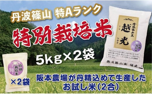 令和６年産　丹波篠山産　特Aランク　特別栽培米　越光（５ｋｇ×２袋）