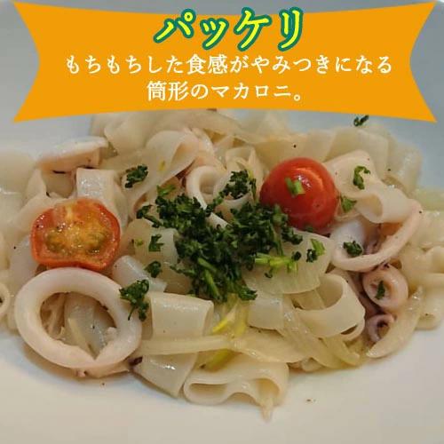 G5-10 S10 グルテンフリー ブラウンライスパスタ（フジッリ、ペンネ、パッケリ）_イメージ4