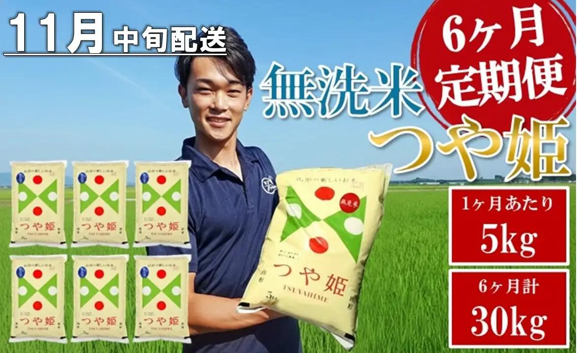 SG0179　11月中旬発送開始／【6回定期便】［無洗米］特別栽培米つや姫　5kg×6回(計30kg)　農家直送 AG