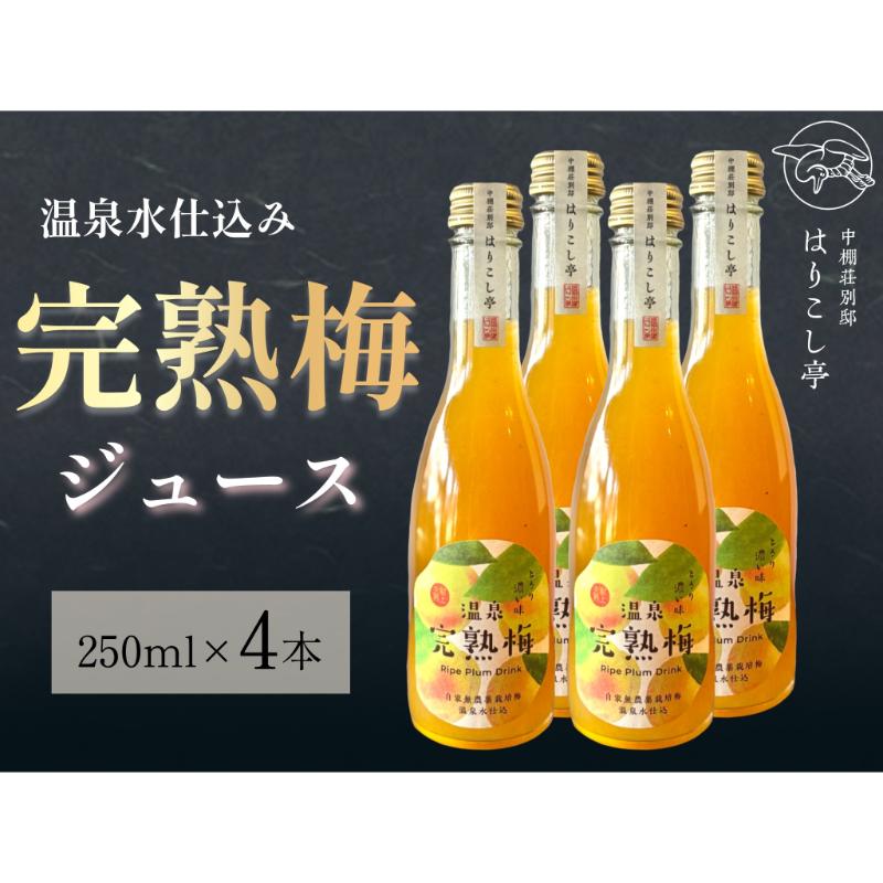 【ふるさと納税】梅ジュース　250ml×4本　中棚温泉　長野　信州　小諸