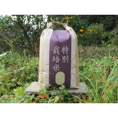 ふるさと納税 上郡町 【栽培期間中農薬不使用】『タガメの里自然米』2025年産「ぴかまる」白米10kg