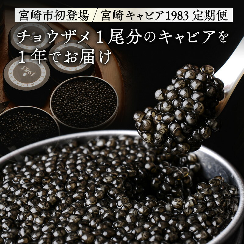 【ふるさと納税】【定期便全4回】チョウザメ1尾分のキャビアを1年でお届け 600g(100g×2回 200g×2回) 宮崎キャビア1983 キャビア チョウザメ魚卵 魚卵 卵 岩塩 熟成 珍味 贈答 贈り物 ギフト プレゼント グルメ お取り寄せ 高級食材 人気 おすすめ 宮崎県 宮崎市 送料無料