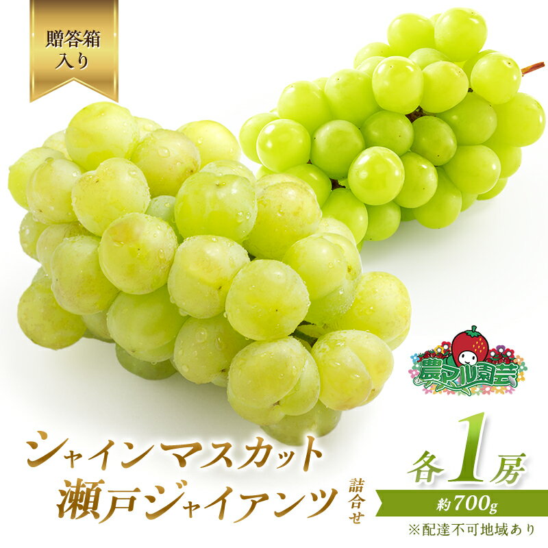 【ふるさと納税】ぶどう 2026年 先行予約 シャイン マスカット 1房 瀬戸ジャイアンツ 1房 各約700g 詰合せ 贈答箱 ブドウ 葡萄 フルーツ 果物 岡山 赤磐市産 農マル園芸 あかいわ農園 種なし 皮ごと 甘い 　お届け：2026年9月上旬～2026年9月下旬