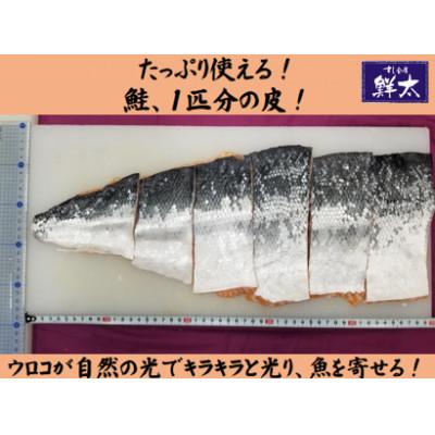 ふるさと納税 湖西市 釣りエサ用「鮭の皮」フリーカット約800g(深海・中深海釣りなど)お好きなサイズにカットしてください |  | 01