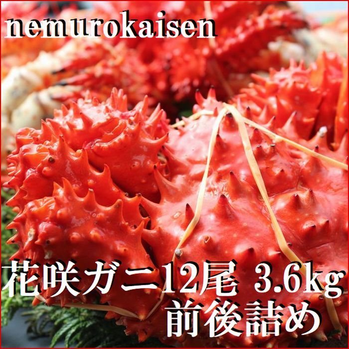 【ふるさと納税】 [北海道根室産] 花咲ガニ 12 尾 ( 計 3.6kg 前後 ) 花咲がに 花咲 花咲かに 花咲蟹 かに カニ 蟹 お取り寄せ グルメ 海鮮 北海道 根室市 ふるさと納税 C-57051