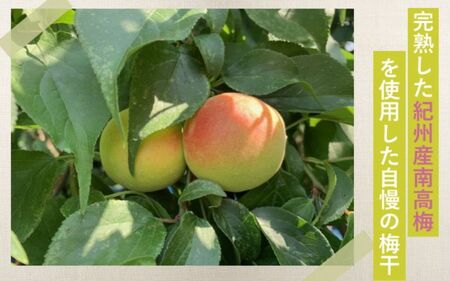 紀州南高梅 やわらか干し梅 はちみつ入り 80g（40g×2）個包装 / 和歌山 和歌山県産 田辺市 南高梅 干し梅 種なし はちみつ干し梅 柔らかい干し梅 個包装【nag001】