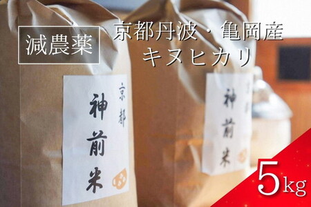 【令和7年産】新米 5kg 神前米 キヌヒカリ