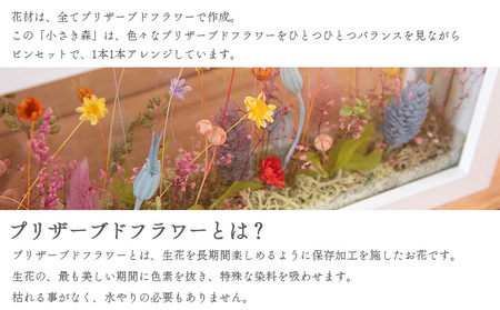 ＜小さき森 窓 1個＞翌月末迄に順次出荷【 選べる サイズ 大きさ インテリア 雑貨 ドライフラワー プリザードフラワー 木枠 おしゃれ 癒し ハンドメイド 手作り かわいい 贈物 プレゼント ル ペ