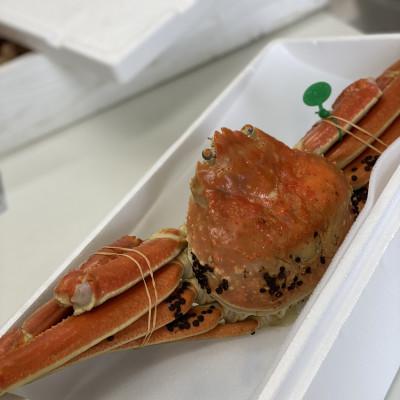 ふるさと納税 宮津市 松葉ガニ　茹で　タグ付き　訳アリ　700g　1杯　