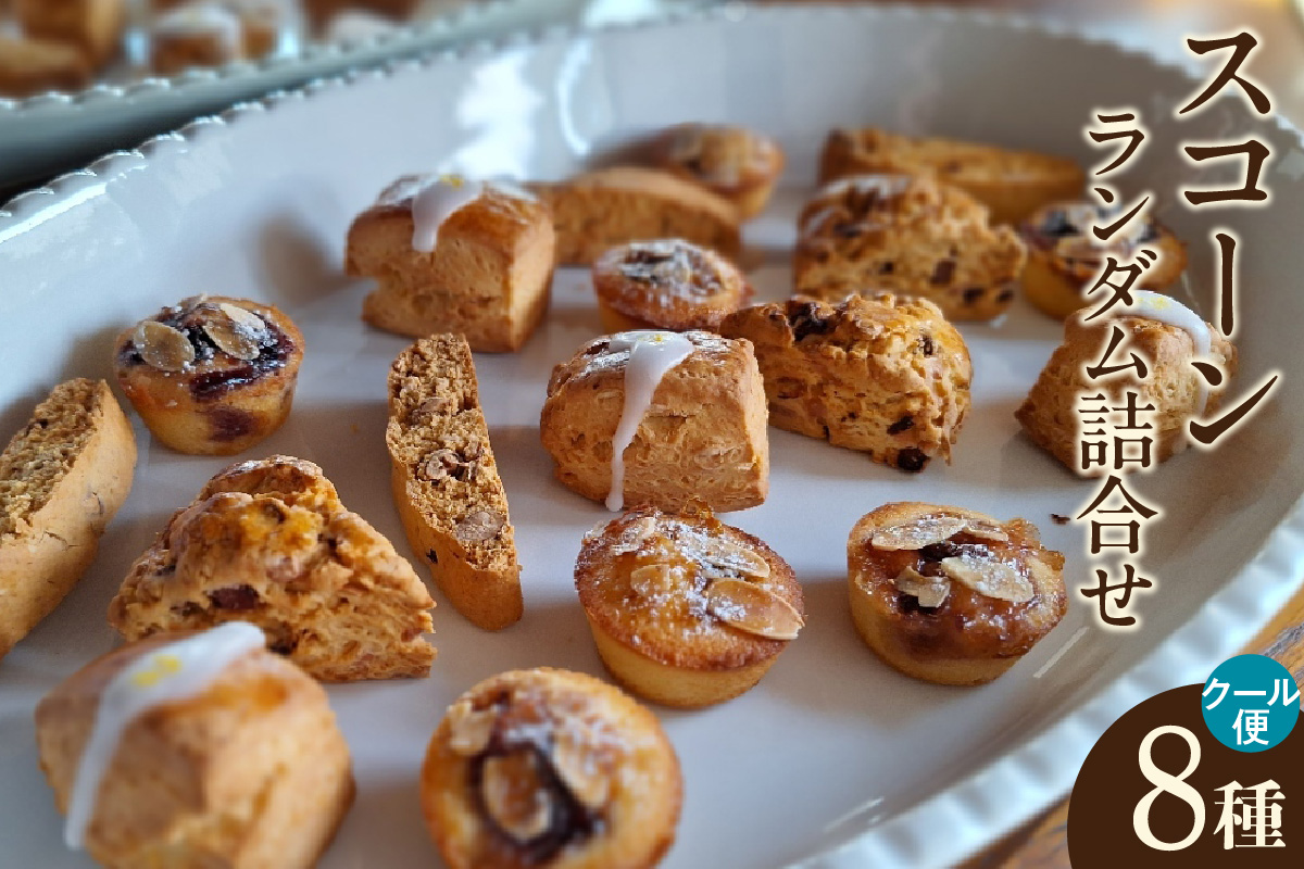 【５月～10月配送】スコーン８種ランダム詰合せ（グルテンフリー含む）（2038）