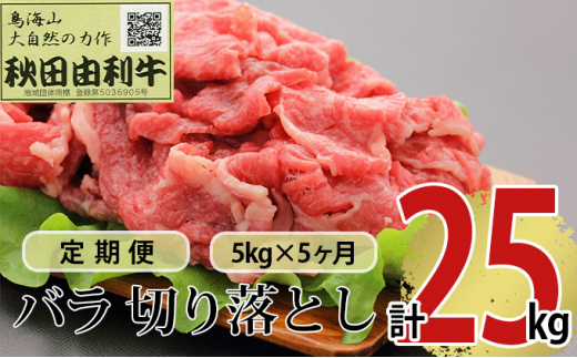 
《定期便》5ヶ月連続 秋田由利牛 バラ切り落とし 5kg（1kg×5パック）
