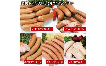 ソーセージ 無塩せき 5種 セット 【 ソーセージ 】