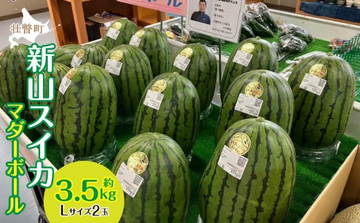 ＜2026年8月上旬よりお届け＞北海道壮瞥産　新山すいか 小玉すいか（マダーボール）Lサイズ2玉 スイカ　　【 ふるさと納税 人気 おすすめ ランキング スイカ すいか 西瓜 マダーボール 甘い 小玉 北海道 壮瞥町 送料無料 】 SBTN002